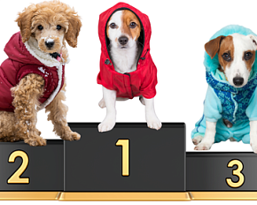 Конкурс " Пушистый стиль"