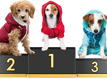 Конкурс " Пушистый стиль"